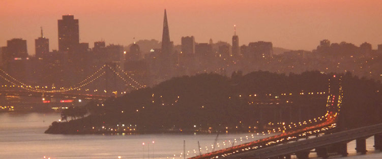 Objective Expert Economists